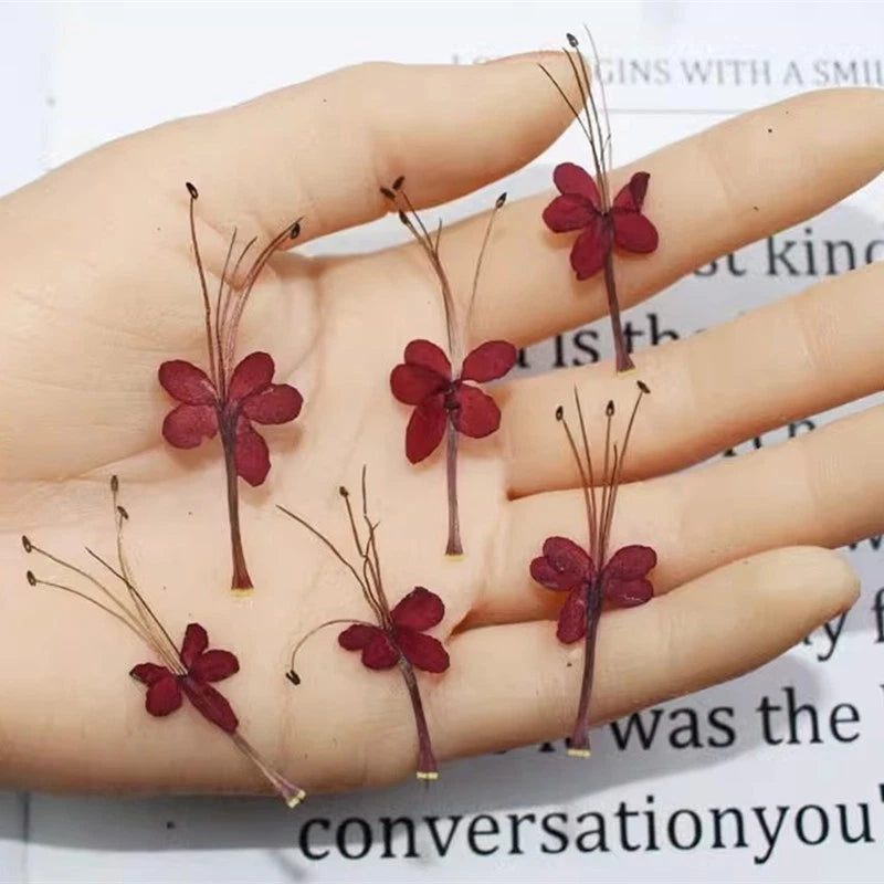 Pressed dried flowers set with stems, pink and purple blossoms on hand