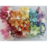 1-1/2" or 3.75cm - Lily Half Color Paper Flower Wedding Scrapbook Craft LY1-427H Lily