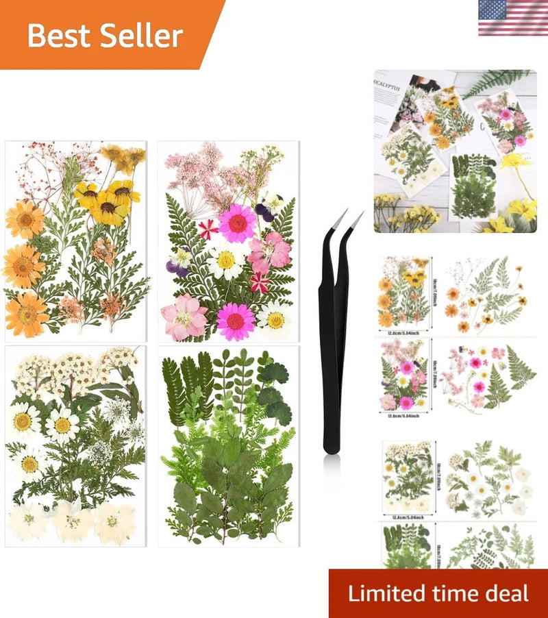 Assorted pressed dried flowers on craft sheets, mixed colors for resin making.