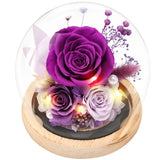 Casaido Preserved Roses Flowers for Delivery, Purple Forever Flores in Dried Flower