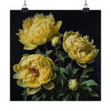Yellow Peonies Flower Art Print, Yellow Flower Painting, Flower DŽcor 08 Peony