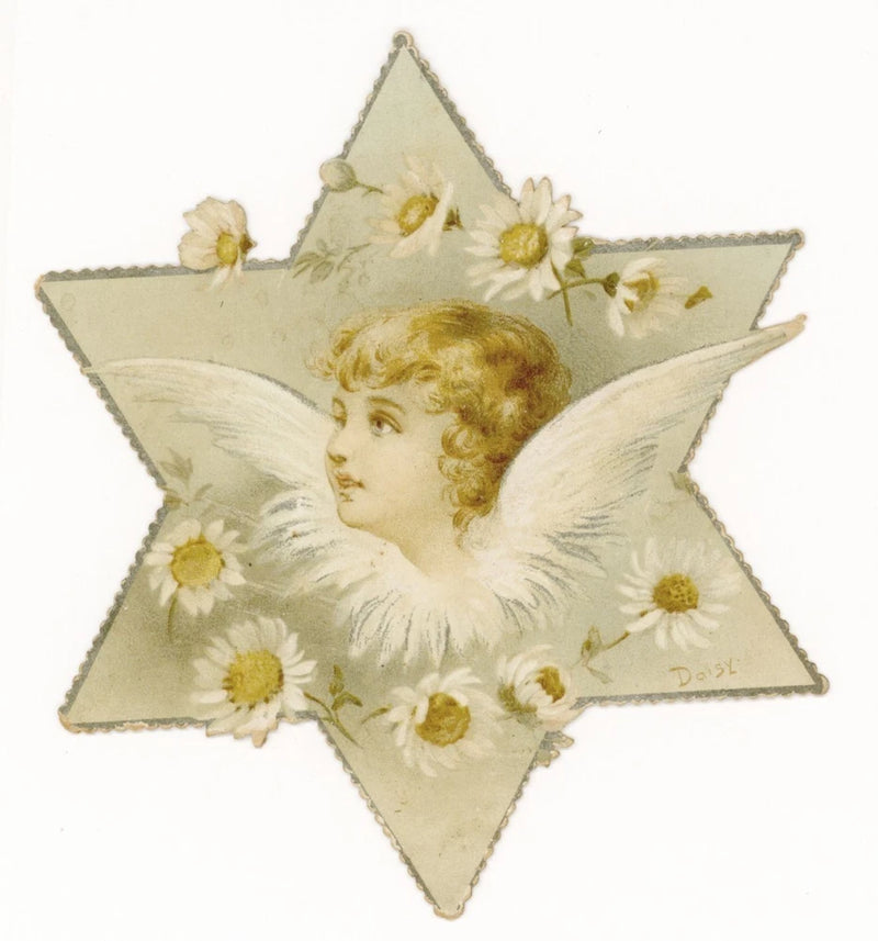 Angel, cherub, daisy flowers, star shaped Christmas greeting, Tuck circa 1895 Daisies