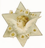 Angel, cherub, daisy flowers, star shaped Christmas greeting, Tuck circa 1895 Daisies