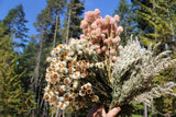 Dried Wildflower Bunch Set, dried flower bunches, dried daisy, floral design Dried Flower