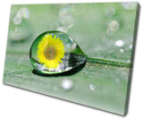 Floral Sunflower Flowers SINGLE CANVAS WALL ART Picture Print VA Sunflower