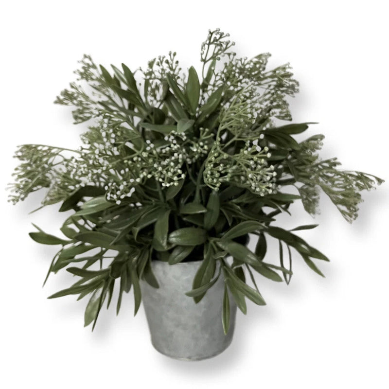 Eucalyptus Plant In Galvanized Pot 12Ó Tall Green Plant