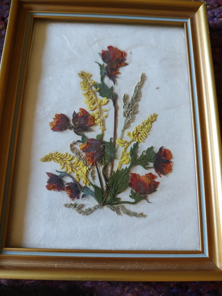 Framed pressed floral wall art with red blossoms and yellow-green dried stems