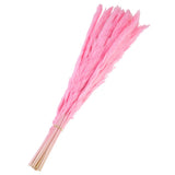 30Pcs Pampas Grass,17" Fake Pampas Grass for Wedding Decoration,Dark Pink Pampas Grass
