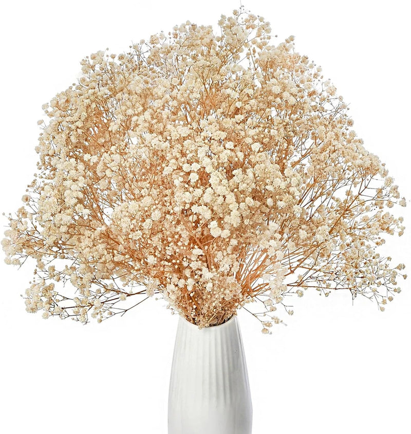 Dried baby's breath bouquet with tiny white flowers on airy stems, in a clear vase