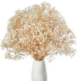 Dried Baby's Breath Flowers Bouquet, 17 inch Natural White Dried Flower