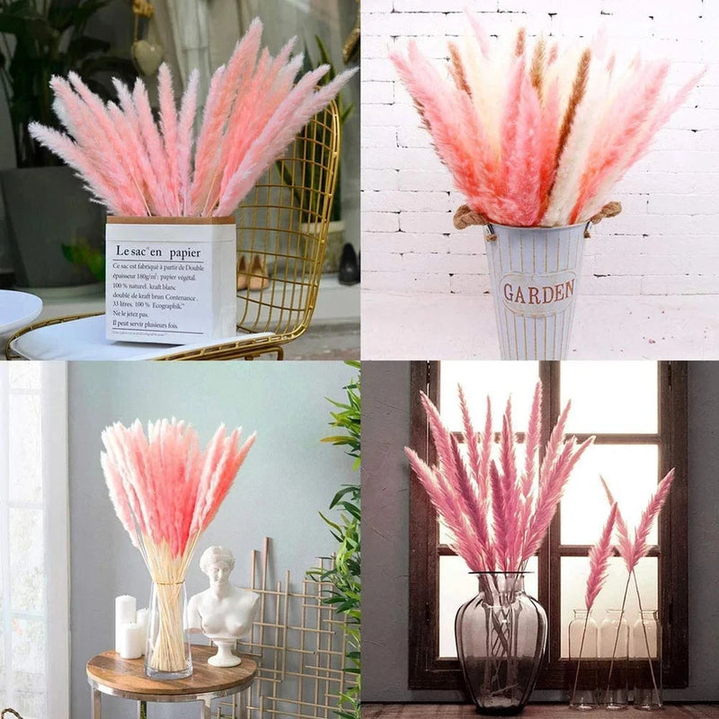 30 stems Pink Pampas Grass 20"-21" Dried Natural Flower Bouquet Home Wedding Dec Pampas Grass