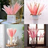 30 stems Pink Pampas Grass 20"-21" Dried Natural Flower Bouquet Home Wedding Dec Pampas Grass