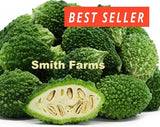10+ Seeds Baby Doll Bitter Melon Easy to Grow Vegetable Garden Planting Edible Garden Plants