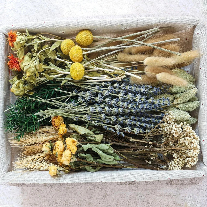 Bulk dried flower set with stems, assorted blooms and grasses, natural green and beige tones.