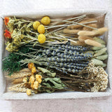 DIY Natural Dried Flower Set, Bulk Dried Flowers, Dried Flowers with Stems, Hand Dried Flower