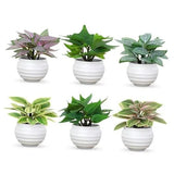 Artificial Potted Plants Set of 6, 3.94" Tall Little Fake Plants in Plastic Green Plant