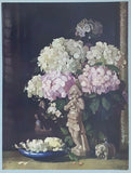 Davis Richter HYDRANGEAS FLOWER FLORAL Print C1943 Vintage Art Deco Hydrangea