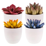 4 Pack Artificial Succulents Plant Decoration in Pots Fake Aloe Purple Orname... Green Plant