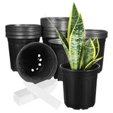 50 Pcs Pots with Drainage Holes Plant Nursery Plastic Garden Flowerpot Garden Plants