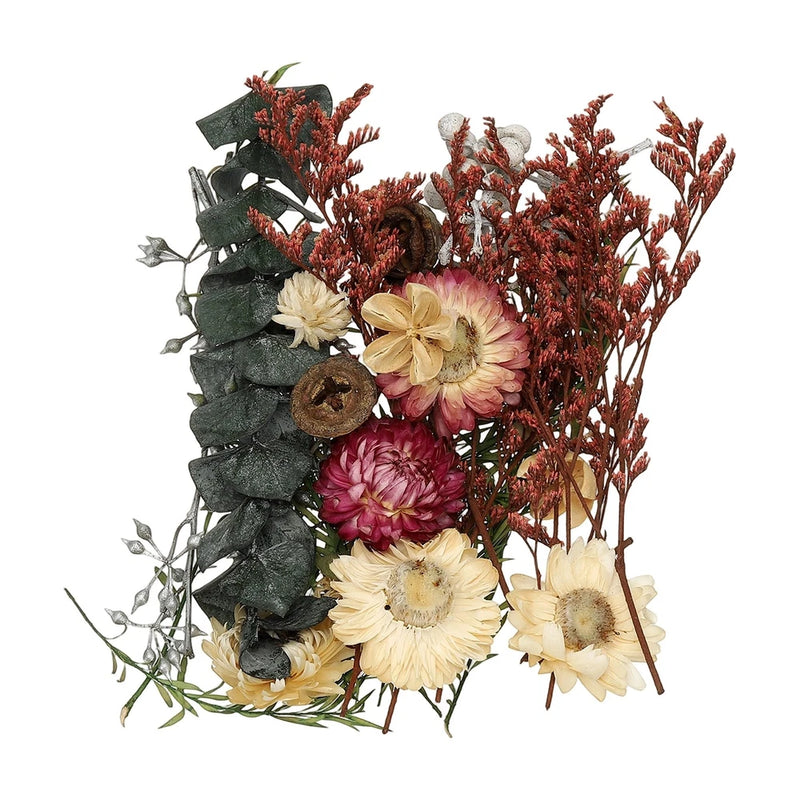 NaturalÊDriedÊFlowerÊSet,ÊDriedÊPressedÊFlowers (Green+Purple) Dried Flower