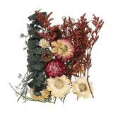 NaturalÊDriedÊFlowerÊSet,ÊDriedÊPressedÊFlowers (Green+Purple) Dried Flower