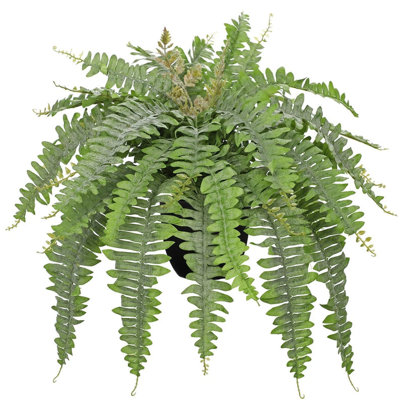 Medium artificial Boston fern with many green fronds