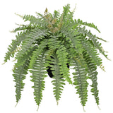 Artificial Fern Plants in Pot 25.5" Medium Artificial Boston Fern 31 Leaves f... Green Plant