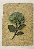 Rare Vintage Cheri Blum 3D Hydrangea Wall Plaque Floral Relief Art CB 6.5Ó Hydrangea