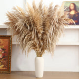 11 Stems Natural Pampas Grass 46" Tall Decor, Large Brown For Floor Vase Boho Pampas Grass