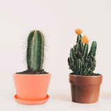 8 Pcs Nursery Plastic Planter Garden Flower Pot Succulents Planting Garden Plants