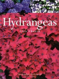 Hydrangeas Paperback Glyn Church Hydrangea