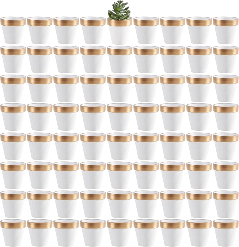 72 Pcs Mini White & Gold Clay Pots, 2.5" Terracotta Planters with Drainage Hole Garden Plants