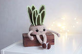 Handmade Crochet Cotton Pot with Snake Plant Ð Amigurumi Soft Plant Ð Cute Home Green Plant