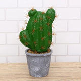 Faux Tropical Plants Artificial Cactus Decor Potted Green Bonsai Green Plant