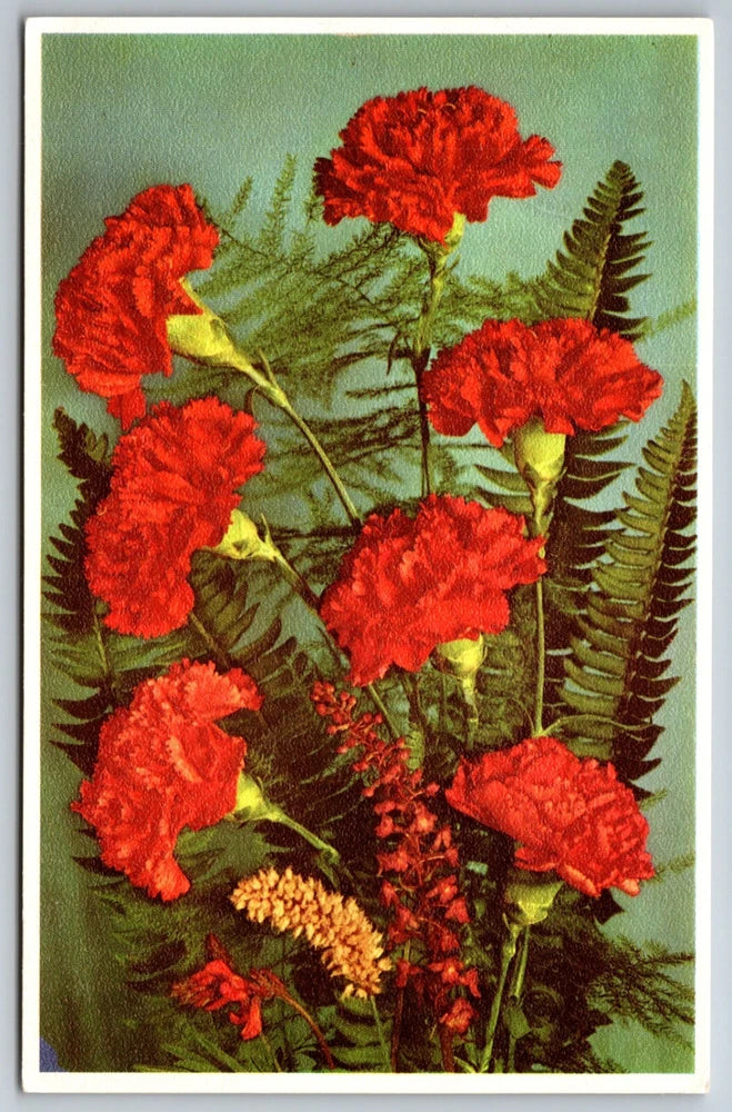 Botanical postcard with red carnations and fern illustration