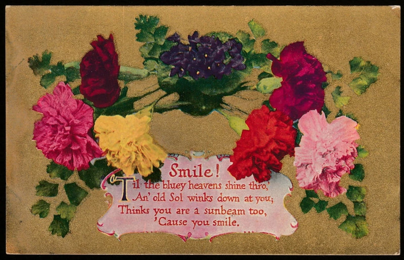 Smile! 'Til the bluey heavens shine thro Vintage 1909 Carnation Flowers Postcard Carnation