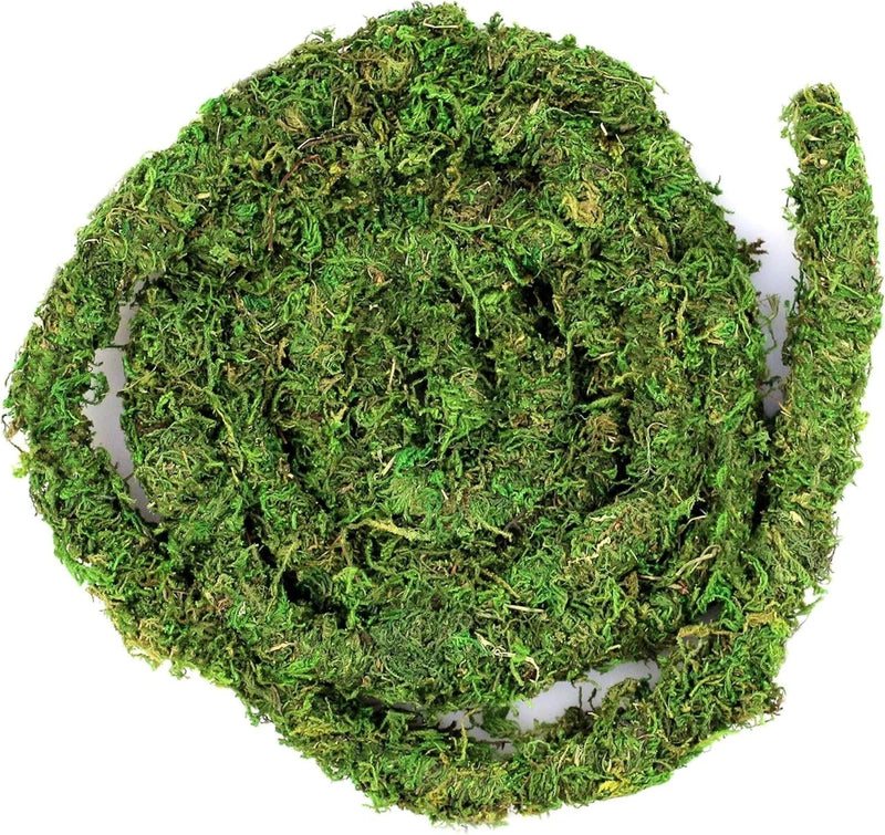 (05266) MossVine, Real Moss Vine, 12FT, Green Green Plant