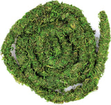 (05266) MossVine, Real Moss Vine, 12FT, Green Green Plant