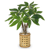 Fake Money Tree Leaves Stems in Woven Glass Vase with Faux Water 11.8" Artifi... Green Plant