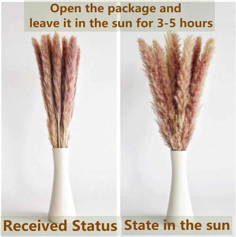 Decorations Home ,110 Dried Flowers PCS Boho Pampas Grass White, Brown, Green Pampas Grass