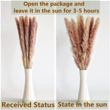 Decorations Home ,110 Dried Flowers PCS Boho Pampas Grass White, Brown, Green Pampas Grass
