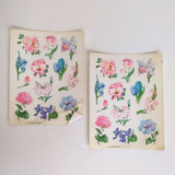 Vintage 80s Hallmark Flower Sticker Sheets (2) - Iris, Peony, Hydrangea, Tulip Hydrangea