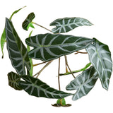 Small Artificial Green Plants with 12 Heads for Wedding and For Home Use Green Plant