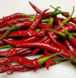 25 + seeds Chile de Arbol hot pepper garden planting spicy food Garden Plants