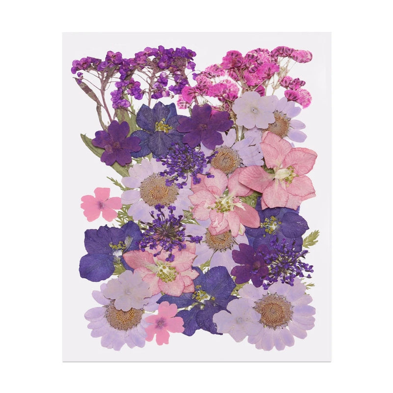 35 Pcs Dried Pressed Flower Leaves Bulk for Resin, Purple Pink Dried Flower