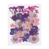 35 Pcs Dried Pressed Flower Leaves Bulk for Resin, Purple Pink Dried Flower