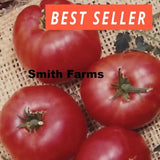 50+ Seeds German Johnson Tomato Hybrid Juicy Easy Grow Vegetable Garden Planting Garden Plants