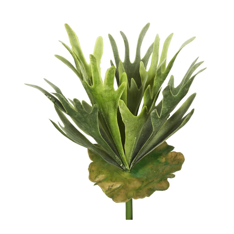 Vickerman 13" Plastic Artificial Staghorn Fern Bush in Frosted Green Green Plant