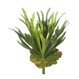 Vickerman 13" Plastic Artificial Staghorn Fern Bush in Frosted Green Green Plant