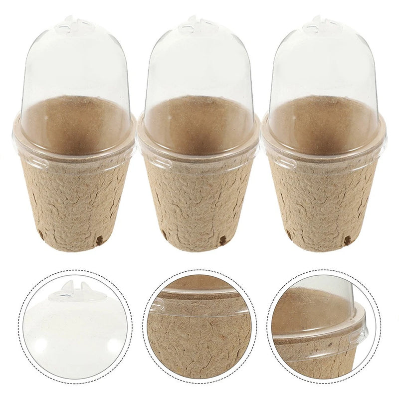 40 Pcs Biodegradable Containers Planting Pots Garden Nursery Garden Plants